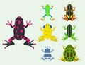 Frog cartoon tropical animal cartoon amphibian mascot character wild vector illustration. Royalty Free Stock Photo