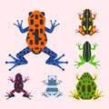 Frog cartoon tropical animal cartoon amphibian mascot character wild vector illustration. Royalty Free Stock Photo