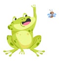 Frog catching fly, funny aquatic animal character Royalty Free Stock Photo