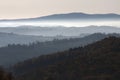 Tuscany landscape at dawn Royalty Free Stock Photo