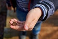 A frog in a child`s hand Royalty Free Stock Photo