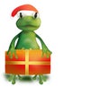 Frog with Christmas present