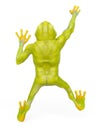 Frog is climbing in rear view Royalty Free Stock Photo