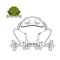 Frog coloring book. Funny amphibious reptile. Animal from swamp.