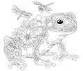 Frog coloring page Royalty Free Stock Photo