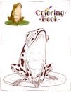 A Frog, Coloring Sheet. Outline picture of a toad on a round lily pad. A colouring book page with colored example