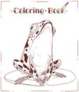 A Frog, Coloring Sheet. Outline picture of a toad on a round lily pad. A colouring book page with colored example