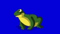 Frog Croaking isolated on Blue Screen