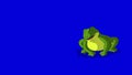 Frog Croaking and Jumping isolated on Blue Screen