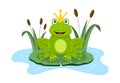 Frog with crown Royalty Free Stock Photo