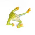 Frog is dancing in isometric view Royalty Free Stock Photo
