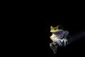 Frog in the Dark