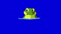 Frog Dives into the Water isolated on Blue Screen