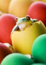 Frog and eggs Royalty Free Stock Photo