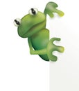 Frog and empty board Royalty Free Stock Photo