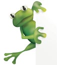 Frog and empty board Royalty Free Stock Photo