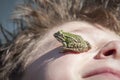 Frog on face Royalty Free Stock Photo