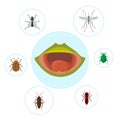 Frog food and nutrition of crocket, moscito, fly and bugs vector illustration. Biology, frogs food chain. Bufo, european