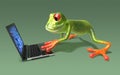 Frog in front of a laptop