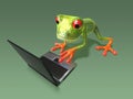 Frog in front of a laptop