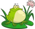 Smiling Frog Cartoon Character Sitting On A Leaf Royalty Free Stock Photo