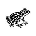 Frog graphic vector EPS Royalty Free Stock Photo