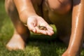 Frog in hand Royalty Free Stock Photo