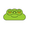Frog head isolated. Toad face vector illustration Royalty Free Stock Photo