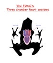 Frog Heart Anatomy On Black Dog Silhouette With Shadow Isolated. Part Of The Mammal Heart. Anatomy Of Pet Heart Illustration. Educ