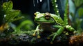 Frog hiding under the big leaf from the rain. Generative AI