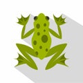 Frog icon, flat style