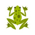 Frog icon, flat style