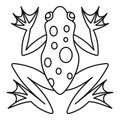 Frog icon, outline style