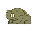 Frog isolated. Toad on white background. Vector illustration. Royalty Free Stock Photo