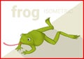 Frog isometric flat vector 3d
