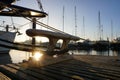 Frog on a jetty in the safe home harbor to which a sturdy mooring line is attached, so that the boat is stable against storms. Royalty Free Stock Photo