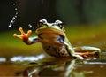 a frog in a jump with its paws outstretched and frog jumping with legs outstretched