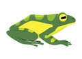 Frog jumping animation icon. Sequences or footage for motion design. Cartoon toad jumping, animal movement concept. Frog Royalty Free Stock Photo