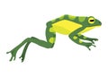 Frog jumping animation icon. Sequences or footage for motion design. Cartoon toad jumping, animal movement concept. Frog Royalty Free Stock Photo