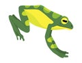 Frog jumping animation icon. Sequences or footage for motion design. Cartoon toad jumping, animal movement concept. Frog Royalty Free Stock Photo
