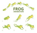 Frog jumping animation. Various keyframes for green animal