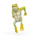 Frog is jumping out Royalty Free Stock Photo