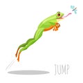 Frog jumping to catch fly isolated on white icon Royalty Free Stock Photo