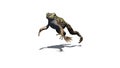 Frog jumps with shadow on the floor Royalty Free Stock Photo