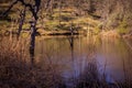 Frog Lake at Henry W Coe State Park near Morgan Hill CA