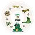 Frog life cycle. Amphibian growth steps. Circular diagram of toad development, from frogspawn and tadpole to adult