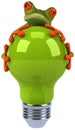 Frog with a light bulb Royalty Free Stock Photo