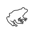 Frog lines vector illustration