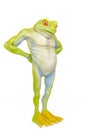 Frog is looking down Royalty Free Stock Photo