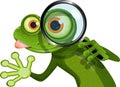 Frog and magnifying glass Royalty Free Stock Photo